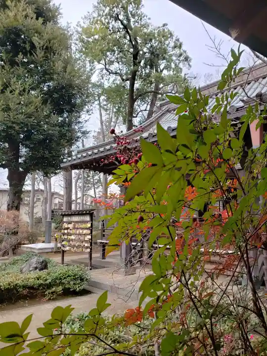 妙法寺(東京都)