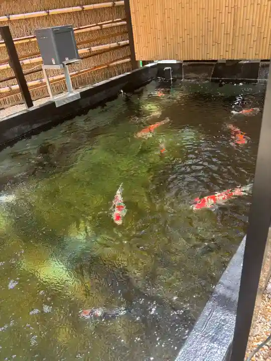 感通寺の{uncategorized: "未分類", other: "その他", undefined: "問題あり", building: "その他建物", grave: "お墓", sacred_gate: "鳥居", guardian: "狛犬", statue: "像", buddha: "仏像", history: "歴史", nature: "自然", garden: "庭園", animal: "動物", pagoda: "塔", temizu: "手水舎", mountain_gate: "山門・神門", sanctuary: "本殿・本堂", subordinate: "末社・摂社", art: "芸術", scenery: "景色", jizo: "地蔵", ema: "絵馬", goshuin: "御朱印", omikuji: "おみくじ", items: "授与品その他", amulet: "お守り", goshuincho: "御朱印帳", eats: "食事", festival: "お祭り", votive_dance: "神楽", shichigosan: "七五三参", wedding: "結婚式", experience: "体験その他", initially: "初詣", around: "周辺", anti_infection: "感染症対策"}