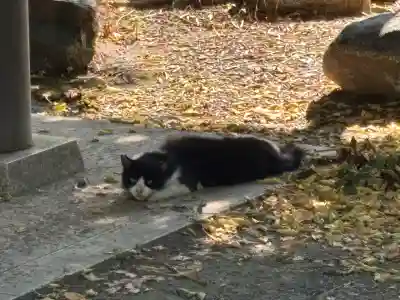 大垣大神宮(岐阜県)