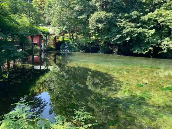 富士山本宮浅間大社の自然