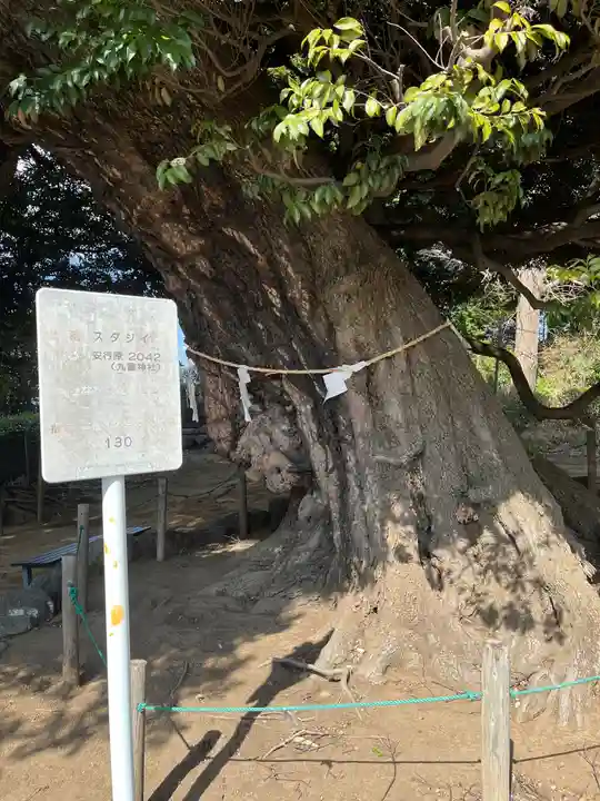九重神社(埼玉県)