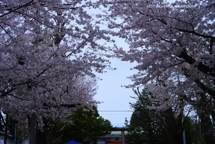 池袋氷川神社(東京都)