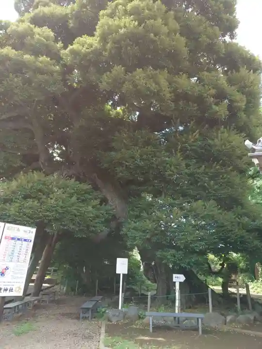 九重神社の自然