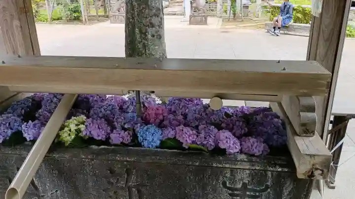 鳩森八幡神社(東京都)
