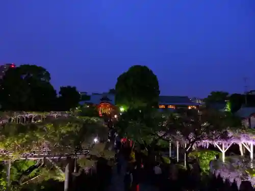 亀戸天神社の景色