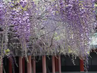 日枝神社(東京都)