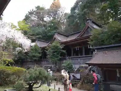 吉野水分神社(吉野町)の本殿・本堂
