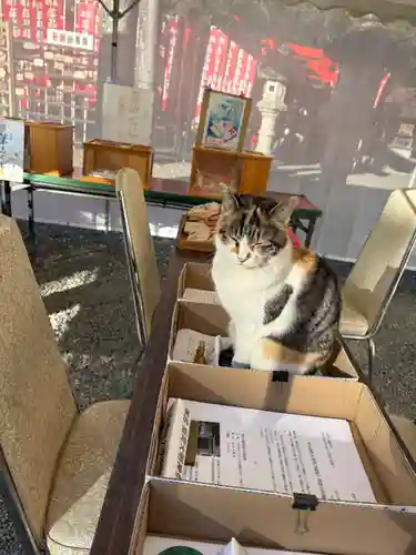 牟呂八幡宮(愛知県)