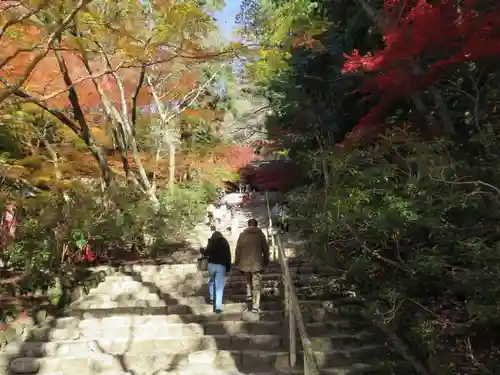 室生寺の自然