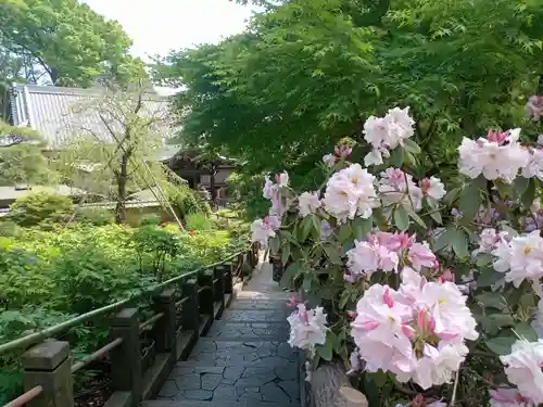 東長谷寺　薬王院(東京都)