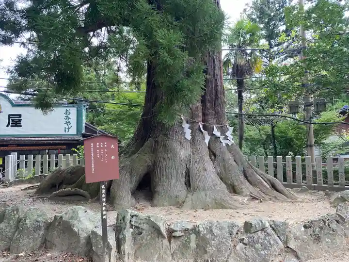 筑波山神社の自然
