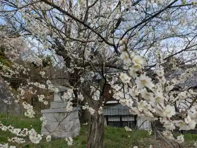 王子神社の{uncategorized: "未分類", other: "その他", undefined: "問題あり", building: "その他建物", grave: "お墓", sacred_gate: "鳥居", guardian: "狛犬", statue: "像", buddha: "仏像", history: "歴史", nature: "自然", garden: "庭園", animal: "動物", pagoda: "塔", temizu: "手水舎", mountain_gate: "山門・神門", sanctuary: "本殿・本堂", subordinate: "末社・摂社", art: "芸術", scenery: "景色", jizo: "地蔵", ema: "絵馬", goshuin: "御朱印", omikuji: "おみくじ", items: "授与品その他", amulet: "お守り", goshuincho: "御朱印帳", eats: "食事", festival: "お祭り", votive_dance: "神楽", shichigosan: "七五三参", wedding: "結婚式", experience: "体験その他", initially: "初詣", around: "周辺", anti_infection: "感染症対策"}