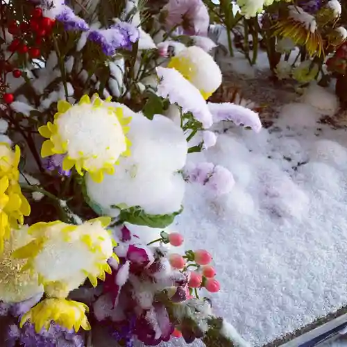滑川神社 - 仕事と子どもの守り神の手水舎
