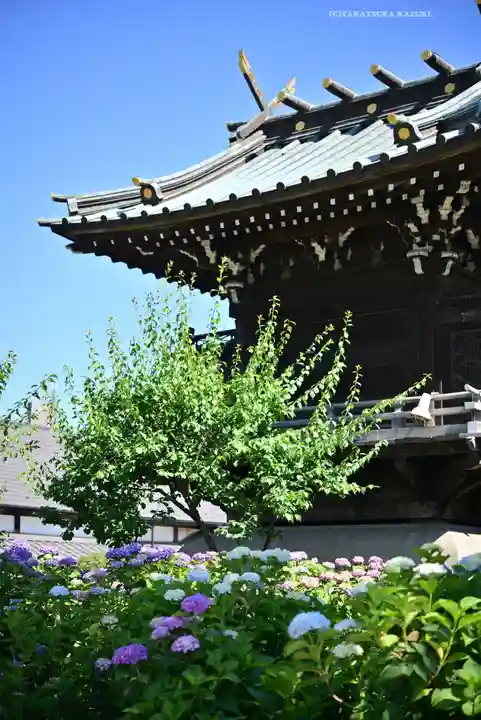 白山神社(東京都)