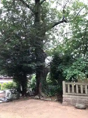 岸河神社の自然