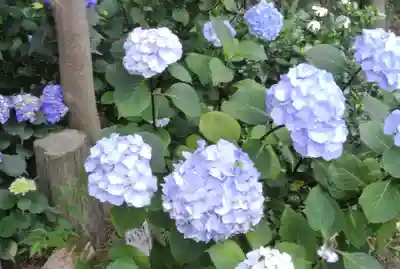 石刀神社(愛知県)