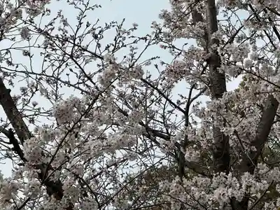 豊山八幡神社(福岡県)