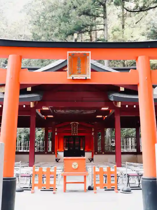 九頭龍神社新宮の{uncategorized: "未分類", other: "その他", undefined: "問題あり", building: "その他建物", grave: "お墓", sacred_gate: "鳥居", guardian: "狛犬", statue: "像", buddha: "仏像", history: "歴史", nature: "自然", garden: "庭園", animal: "動物", pagoda: "塔", temizu: "手水舎", mountain_gate: "山門・神門", sanctuary: "本殿・本堂", subordinate: "末社・摂社", art: "芸術", scenery: "景色", jizo: "地蔵", ema: "絵馬", goshuin: "御朱印", omikuji: "おみくじ", items: "授与品その他", amulet: "お守り", goshuincho: "御朱印帳", eats: "食事", festival: "お祭り", votive_dance: "神楽", shichigosan: "七五三参", wedding: "結婚式", experience: "体験その他", initially: "初詣", around: "周辺", anti_infection: "感染症対策"}