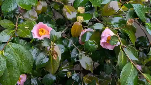 城南宮(京都府)