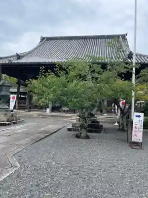 穴太寺(京都府)