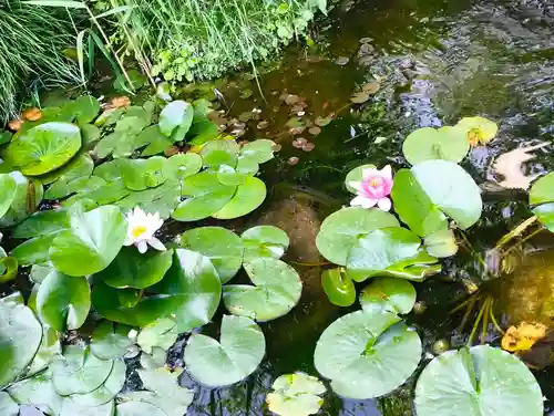 東長谷寺　薬王院(東京都)