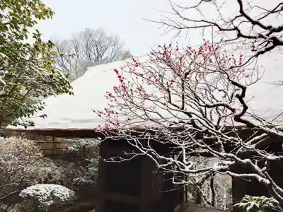杉本寺(神奈川県)