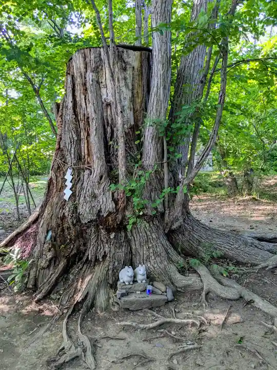 帯廣神社の自然