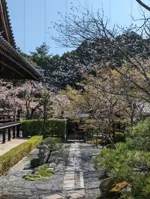 妙満寺(京都府)