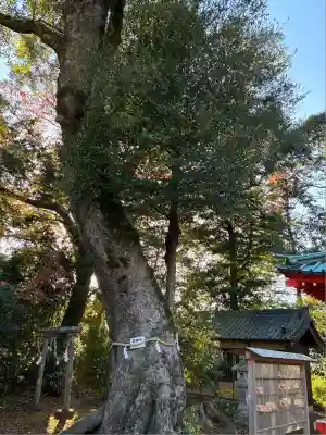 天神社(静岡県)