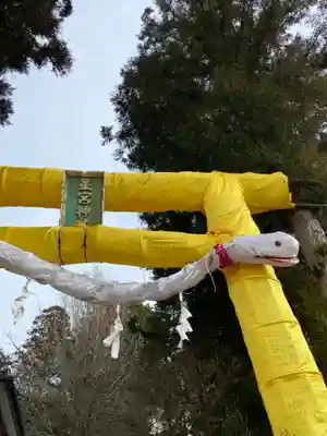 下野 星宮神社の鳥居