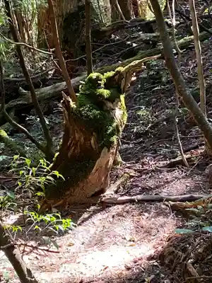 木魂神社(鹿児島県)