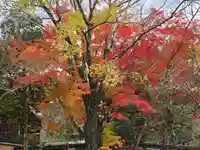 延命寺(大阪府)