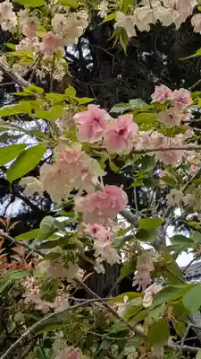 本法寺(京都府)