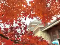 眞田神社の自然