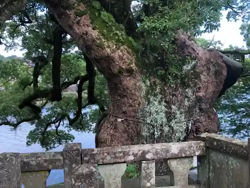 與止日女神社の自然