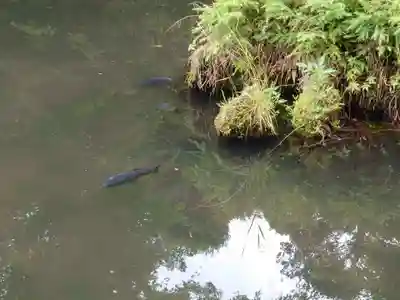 神場山神社(静岡県)