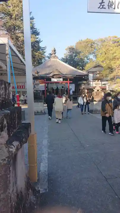 照明寺 (反町薬師尊)(群馬県)