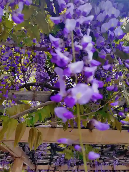 金蛇水神社(宮城県)