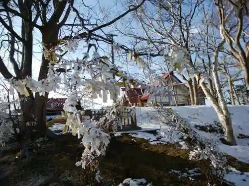 釧路一之宮 厳島神社のおみくじ