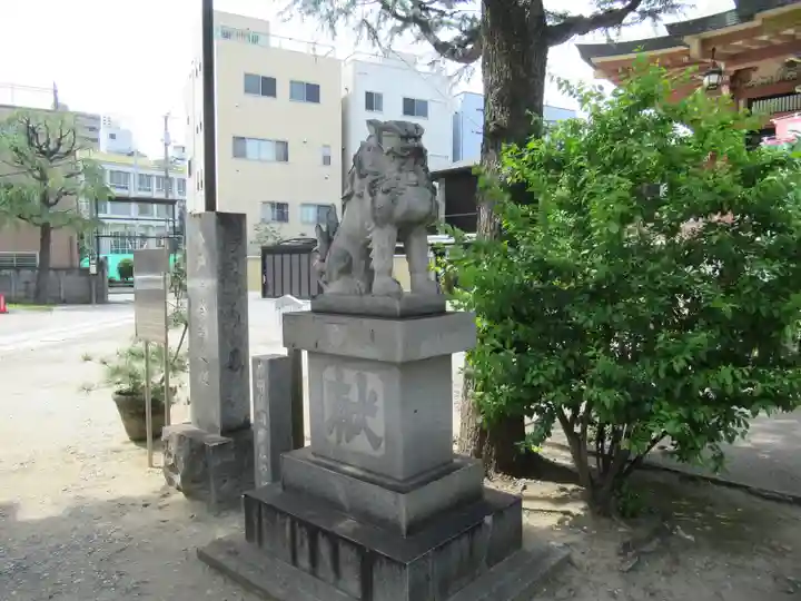 今戸神社の狛犬