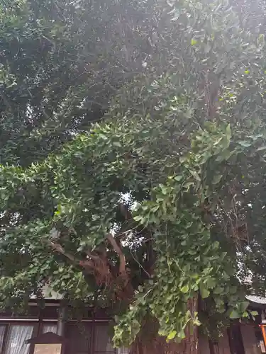 和田神社(滋賀県)