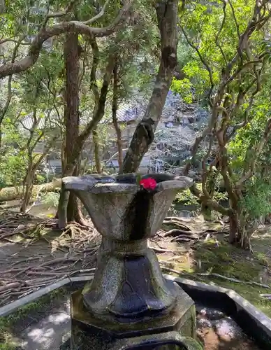 法然院(京都府)