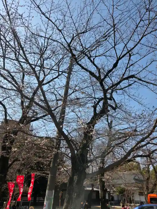 蓮馨寺の{uncategorized: "未分類", other: "その他", undefined: "問題あり", building: "その他建物", grave: "お墓", sacred_gate: "鳥居", guardian: "狛犬", statue: "像", buddha: "仏像", history: "歴史", nature: "自然", garden: "庭園", animal: "動物", pagoda: "塔", temizu: "手水舎", mountain_gate: "山門・神門", sanctuary: "本殿・本堂", subordinate: "末社・摂社", art: "芸術", scenery: "景色", jizo: "地蔵", ema: "絵馬", goshuin: "御朱印", omikuji: "おみくじ", items: "授与品その他", amulet: "お守り", goshuincho: "御朱印帳", eats: "食事", festival: "お祭り", votive_dance: "神楽", shichigosan: "七五三参", wedding: "結婚式", experience: "体験その他", initially: "初詣", around: "周辺", anti_infection: "感染症対策"}
