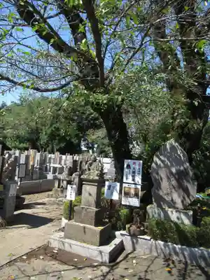 真光寺(千葉県)