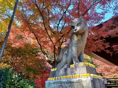 多聞院(埼玉県)