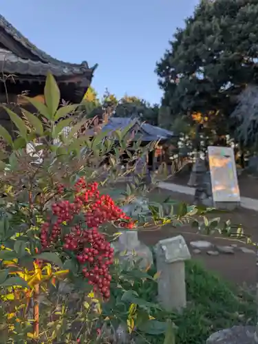伏木香取神社(茨城県)