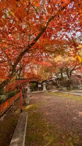 松ヶ崎大黒天 妙圓寺（妙円寺）(京都府)