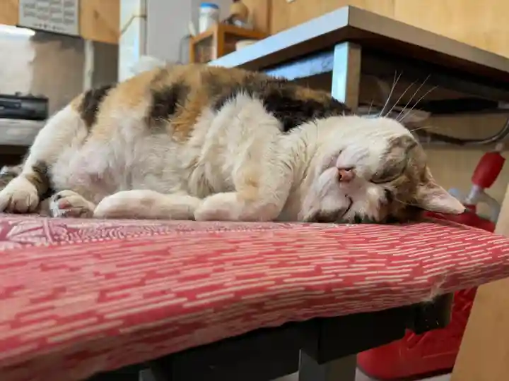 賀茂別雷神社(栃木県)