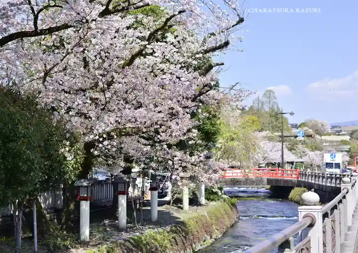 富士山本宮浅間大社(静岡県)