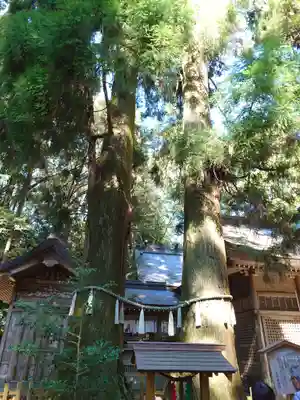 高千穂神社(宮崎県)